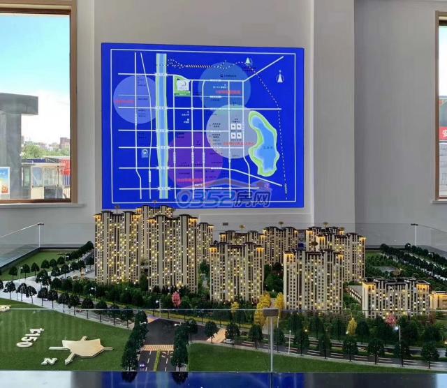 ɳ�P�����D