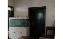 ͬ�d�� 3�� ��t���M����3��14У�W�^