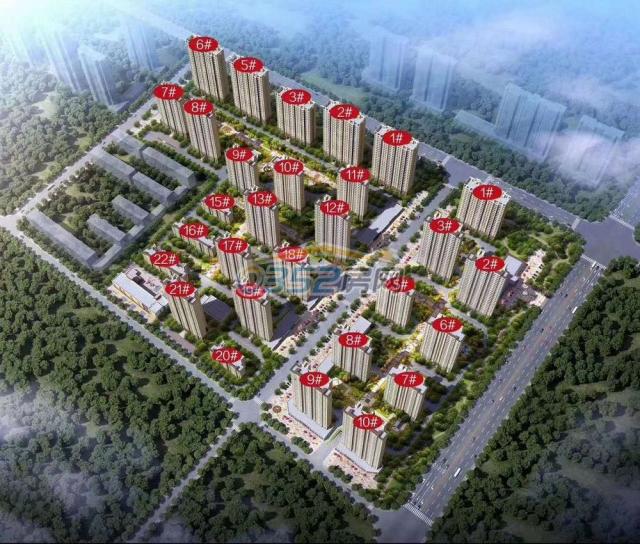 �P���_Ч���D