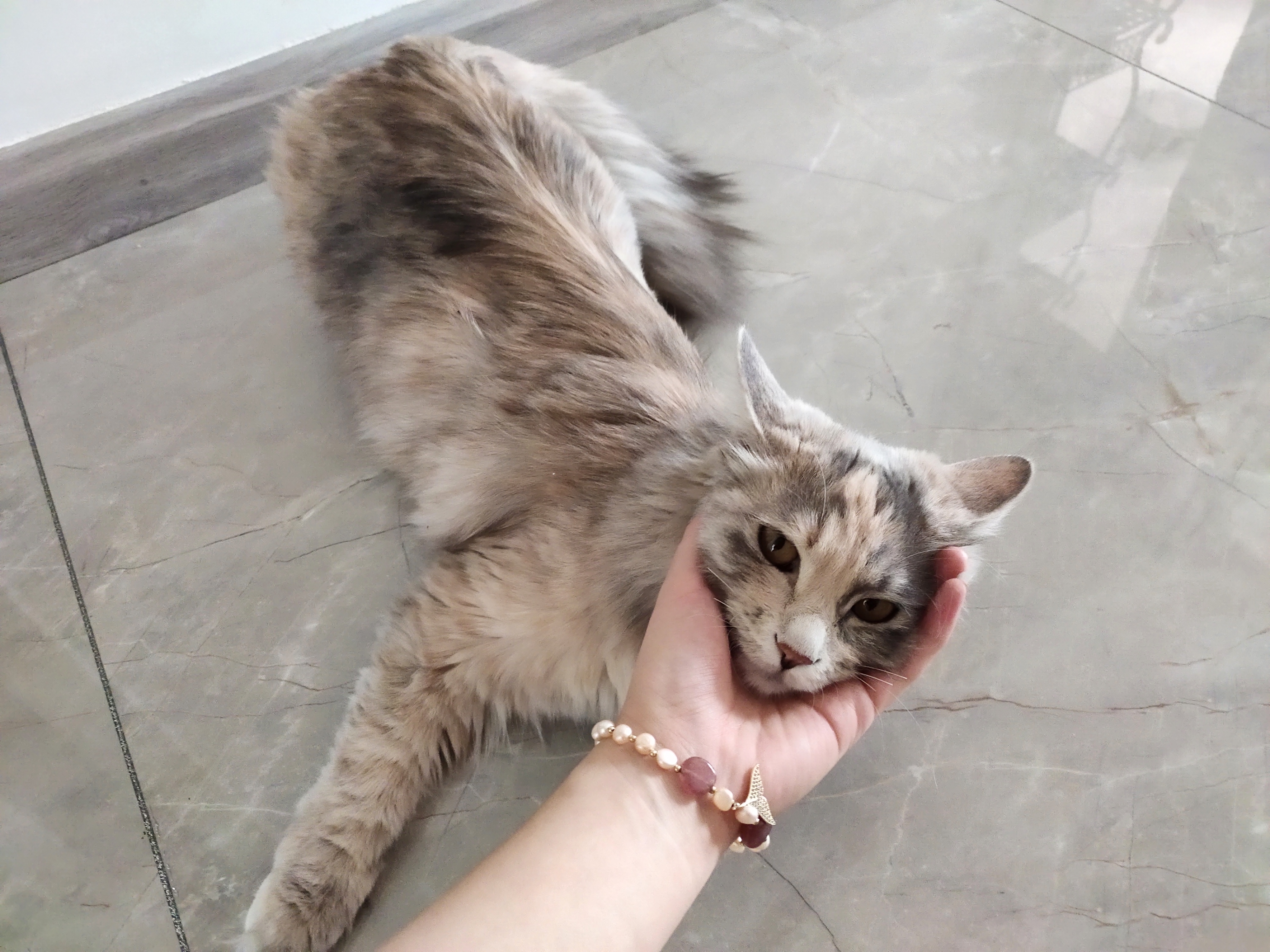 ��־����