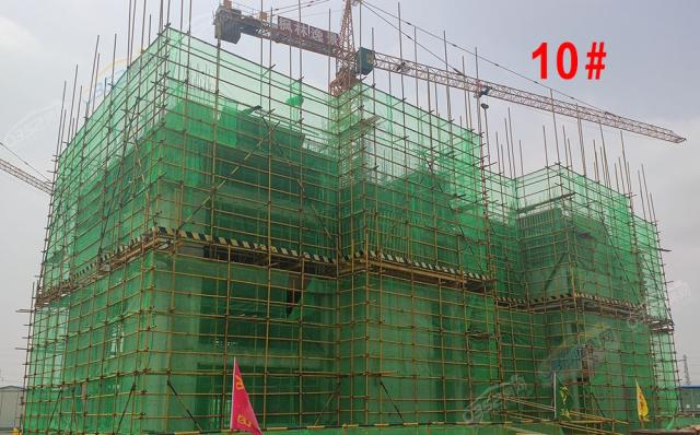 2020.7.30��10#����4��