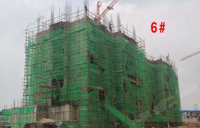 2020.7.30��6#����5��