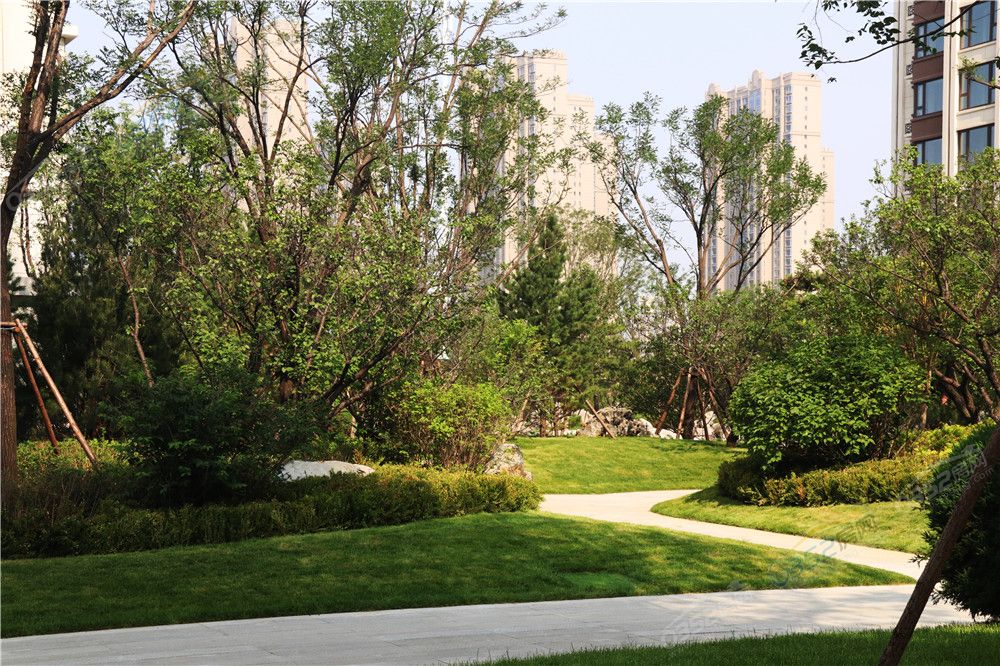 06141512124f55afc41778.jpg IMG_9016.jpg