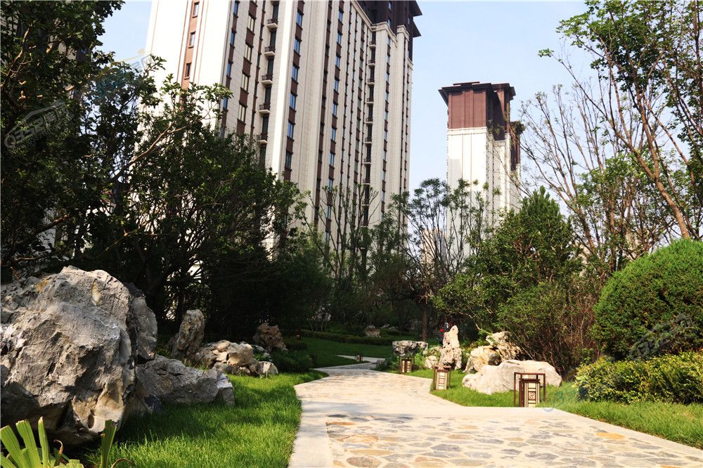 06141521d8896c8e9f0774.jpg IMG_9023.jpg