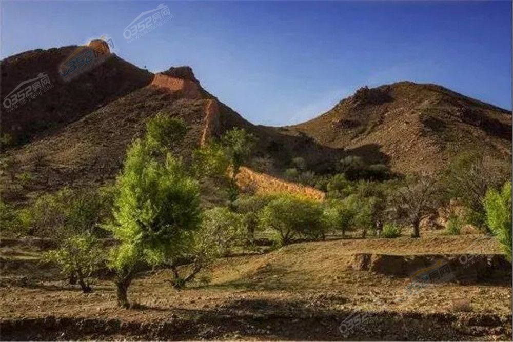 100944569e5f71b0328277.jpg 8.10.6.jpg