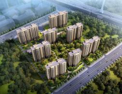 ͩ���������@