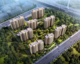 ͩ���������@