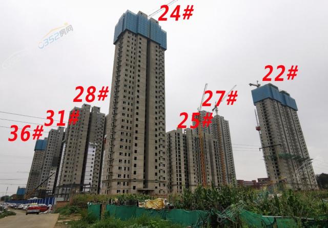 �п�8��8�չ����M��