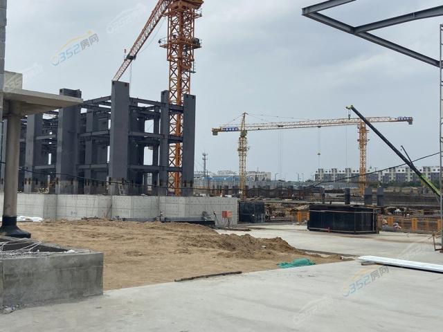 �����ɽ��2020.8.13�����M��