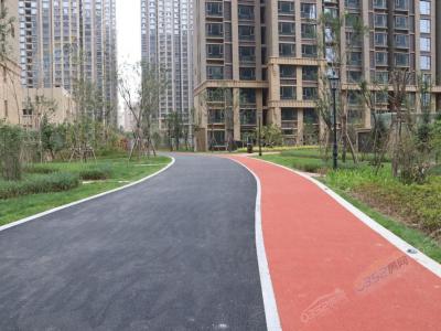 С�^(q��)��(n��i)����(sh��)���D