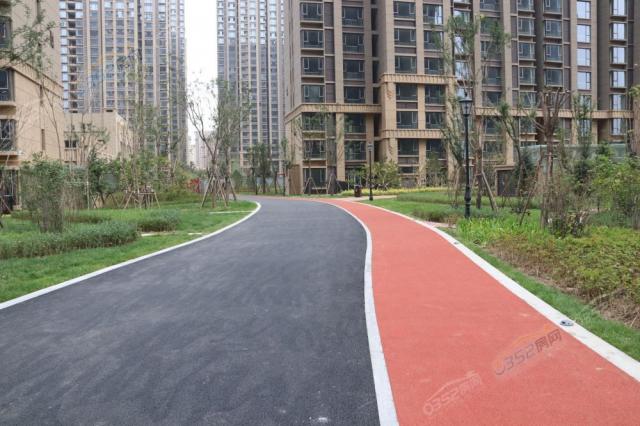 С�^�Ȳ������D