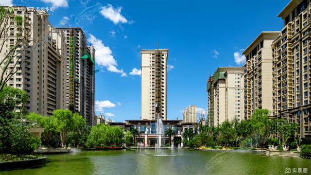 �@�֌����D