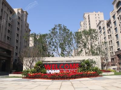 ������(sh��)���D