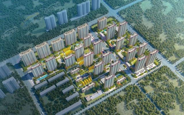 �P���_�BD