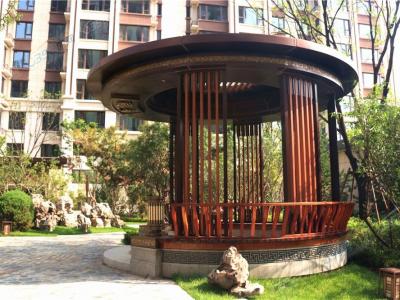 2020.8.10���������D