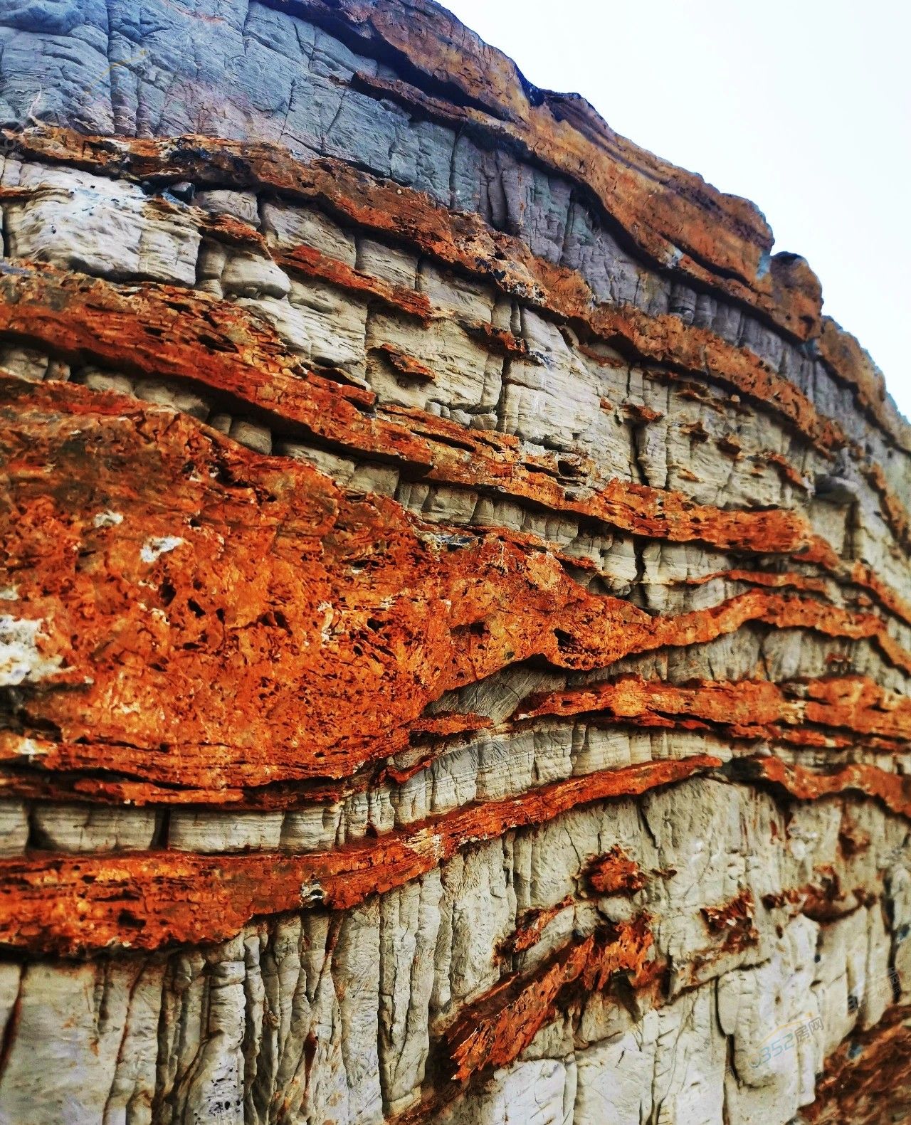 181810264514f18ad49356.jpg 181810264514f18ad49356.jpg