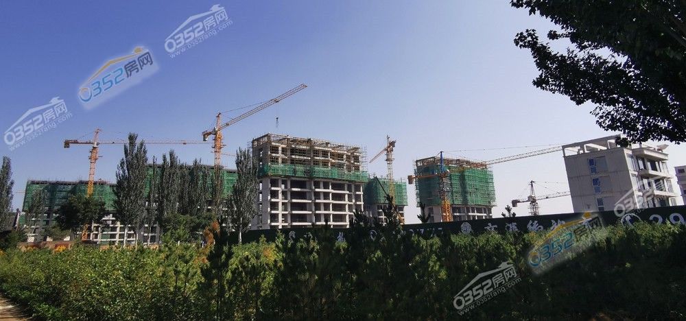 211650024fb5b8e08f9391.jpg 9.21.5.jpg