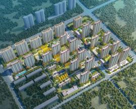 �̹��@���P���_