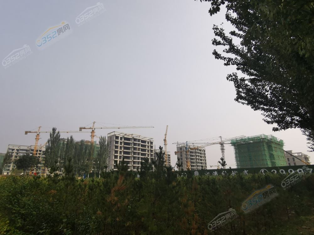 28164933179d9266723747.jpg c8aa6ab9309b118e2f7589990e91375.jpg