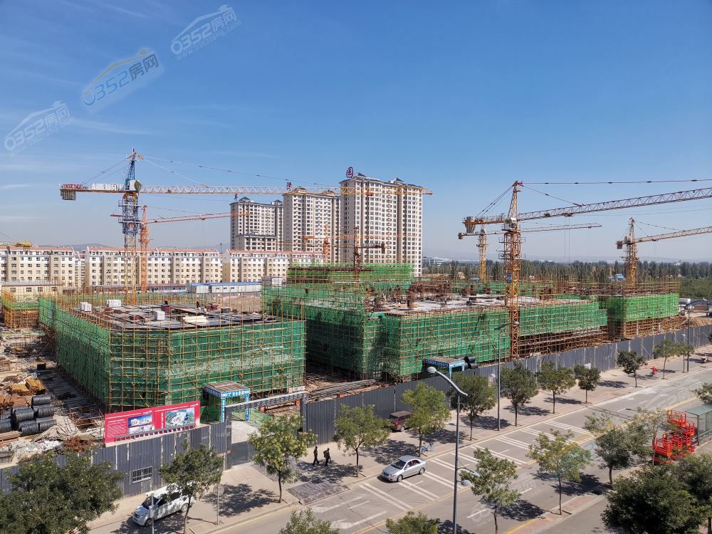 28165610735ddadcc42749.jpg 1.jpg