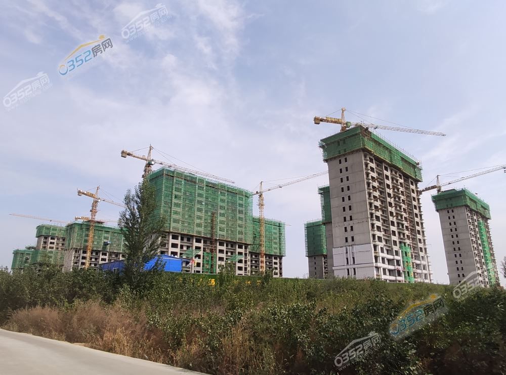 281738380f9afbb41c0324.jpg 9.28.3.jpg