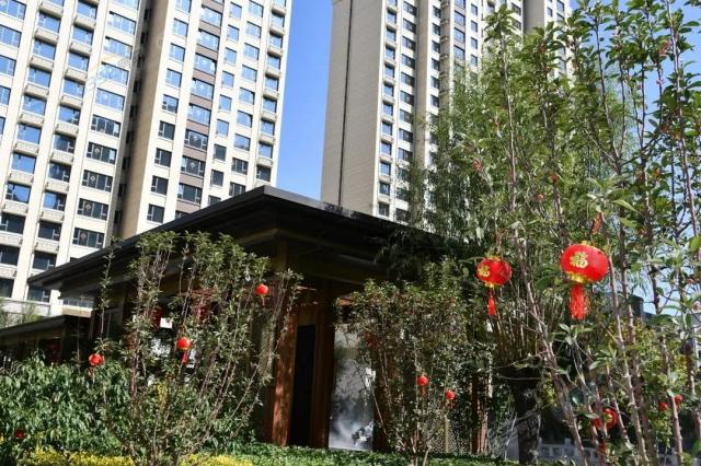 ���𸮽�������