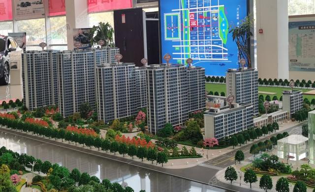 ɳ�P�����D