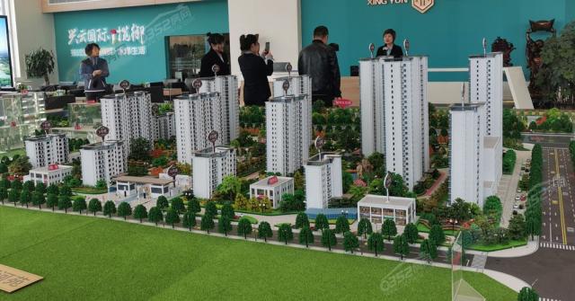 ɳ�P�����D