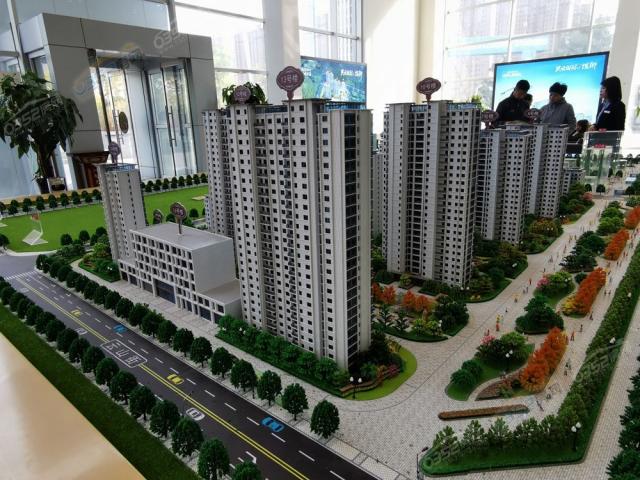 ɳ�P�����D