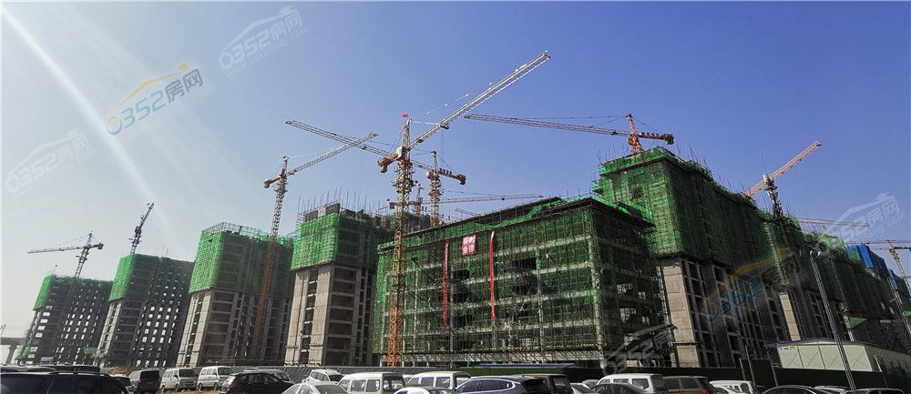 021450469a458781065253.jpg 九如.jpg