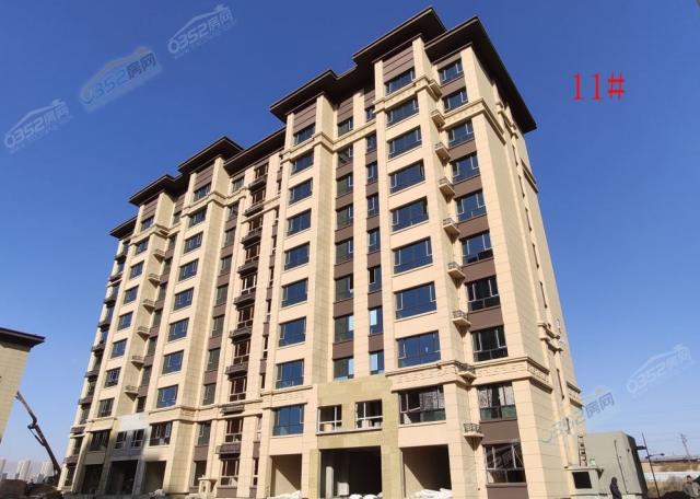 2020.11.6 11#�����D