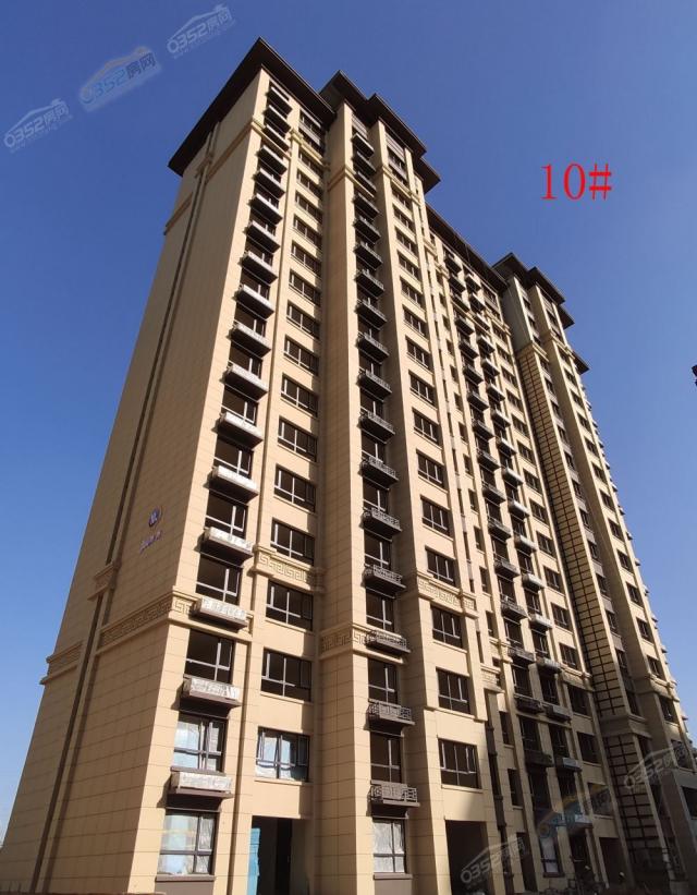 2020.11.6 10#�����D