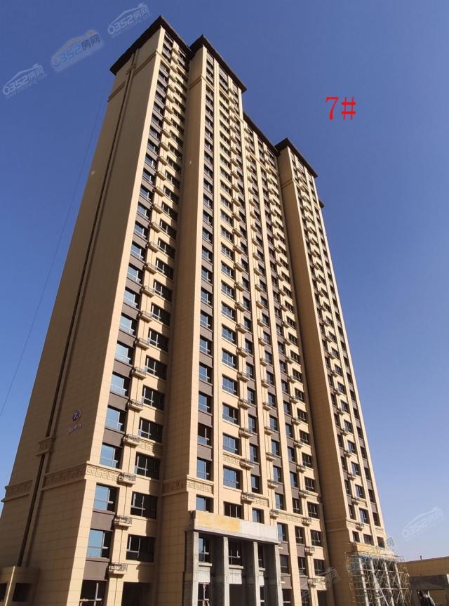 2020.11.6 7#�����D