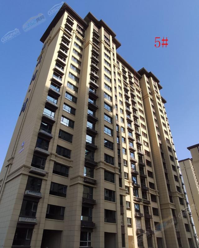 2020.11.6 5#�����D