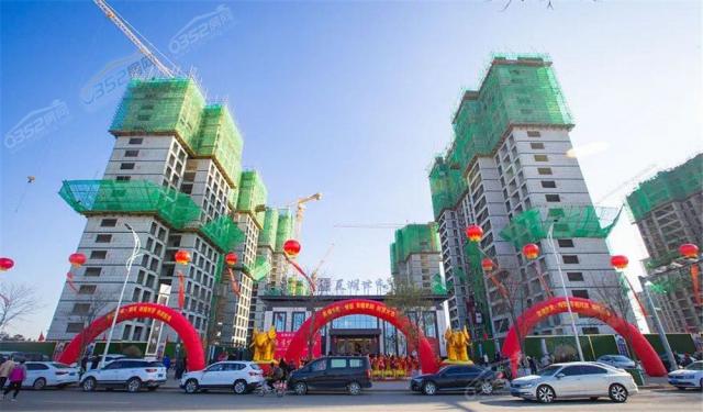 �Ǻ������\�@2020.11.8�����D