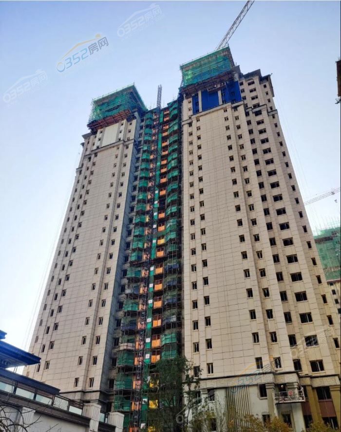 17113859d9b515fd372266.jpg 55.jpg