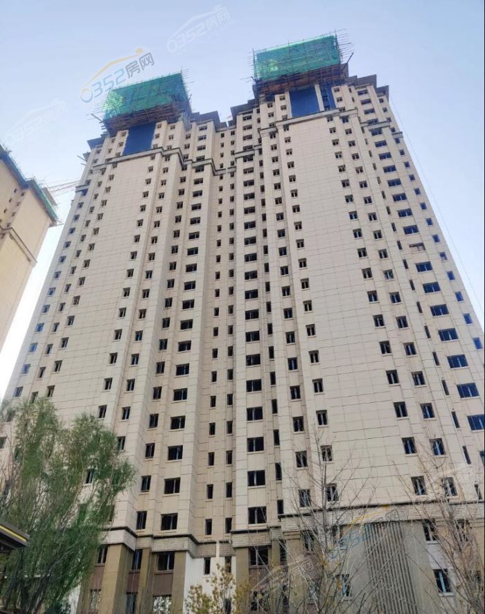 17113941aae5902fc53534.jpg 77.jpg