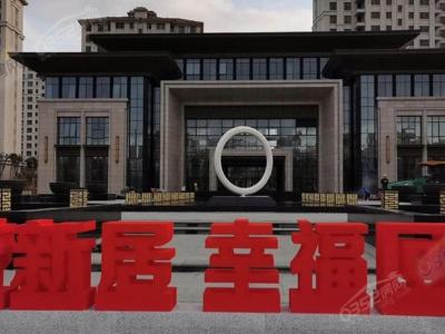 10.1���������D