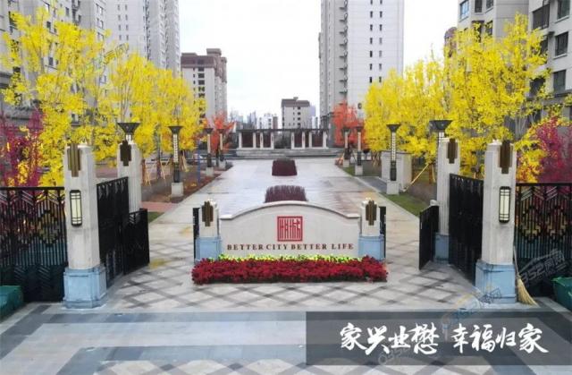 2020.11.23���������D