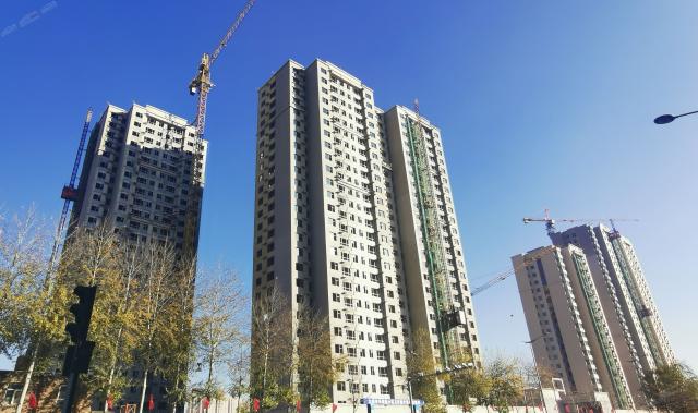 2020.11���ȹ����M��