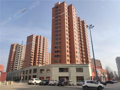 2020.11.21�����M��