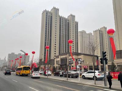 2020.11�½��������D