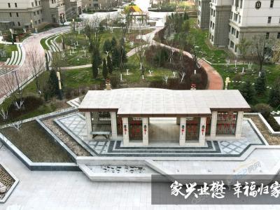 2020.11�½��������D