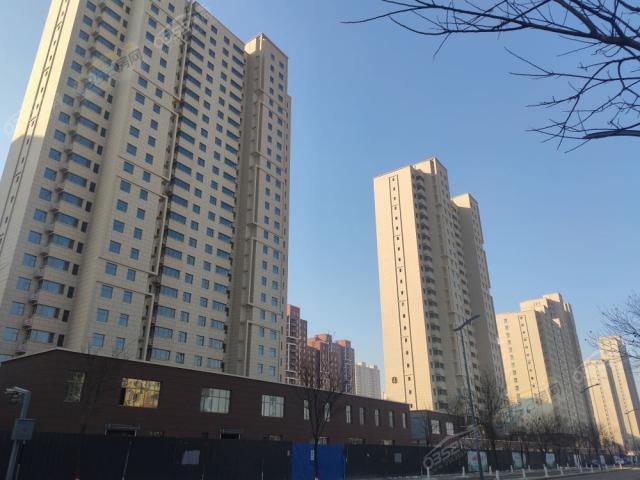 2020.11.28�����M(j��n)��