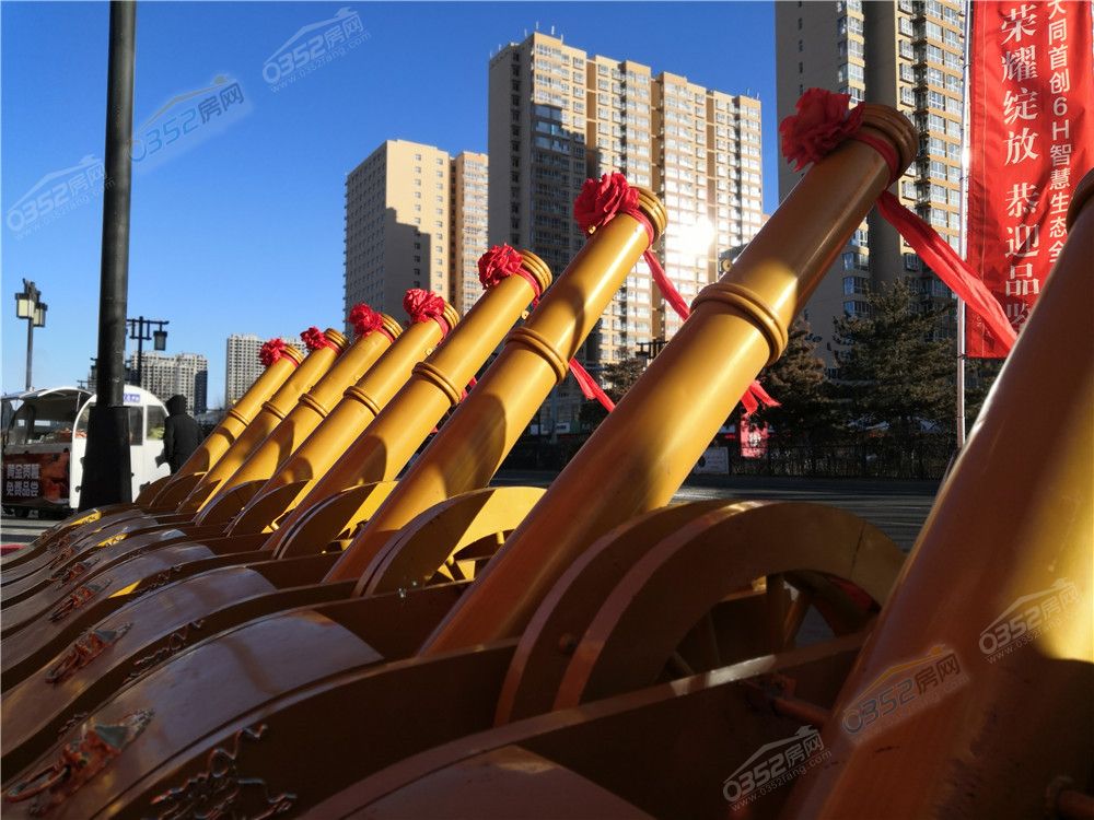 16164155c63fd1e6980905.jpg 禮炮助陣.jpg