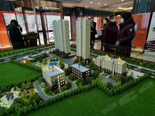 ɳ�P�����D