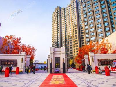 2020.12.12���������D