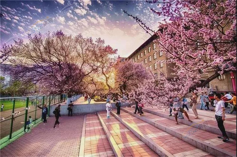 31173313deb6e3fd551390.jpg 3.jpg