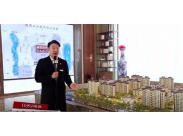 �������ɽ��ɳ�P�v��