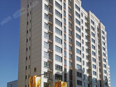 ꖹ��B�����������D